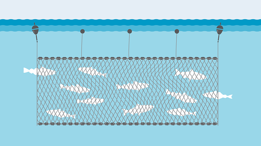 Sustainable Product Design